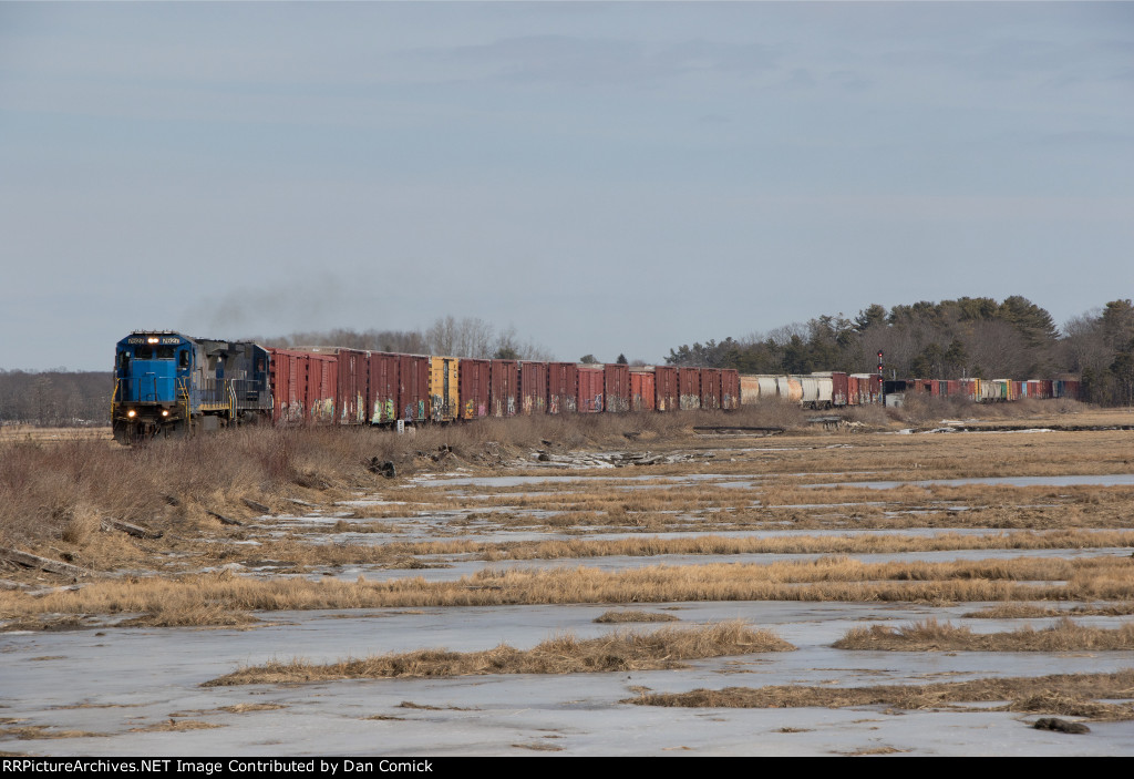 POAY 7627 at the Scarborough Marsh